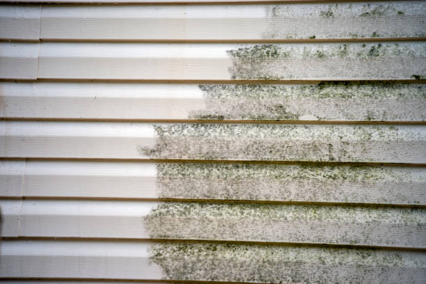 Best Stucco Siding  in Pelham, AL
