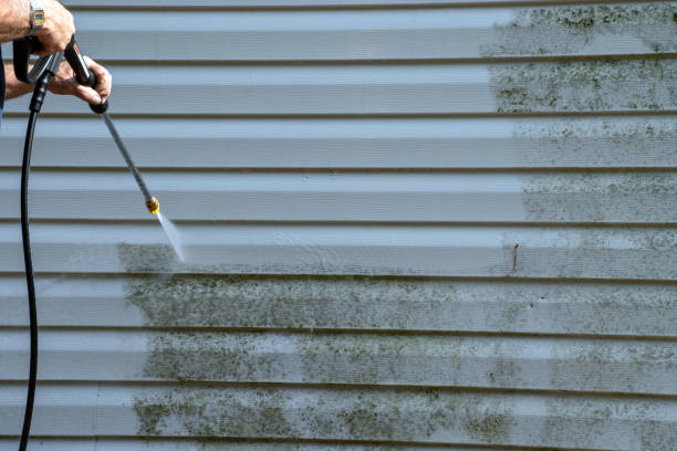 Best Wood Siding Installation  in Pelham, AL